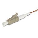 Qoltec Pigtail światłowodowy LC/UPC | Multimode | 50/125 | OM2 | 1m
