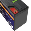 Qoltec Akumulator LiFePO4 Litowo-Żelazowo-Fosforanowy | 12.8V | 30Ah | 384Wh | BMS