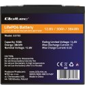 Qoltec Akumulator LiFePO4 Litowo-Żelazowo-Fosforanowy | 12.8V | 30Ah | 384Wh | BMS