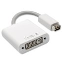 Qoltec Adapter Mini DVI męska | DVI (24+5) żeńska |0.17m