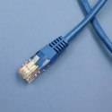 Qoltec Kabel Patchcord UTP | CAT5E | 0.5m